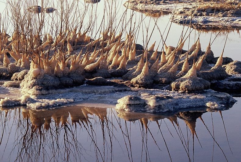 ظهور تشكيلات ملحية غريبة جداً في البحر الميت Dead-sea-salt-crystals-10%25255B2%25255D