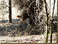 IMG_1924 IMG_1924