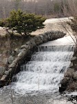 DSC03007.JPG
