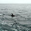 DSC_0893.JPG