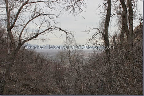 IMG_2449 IMG_2449