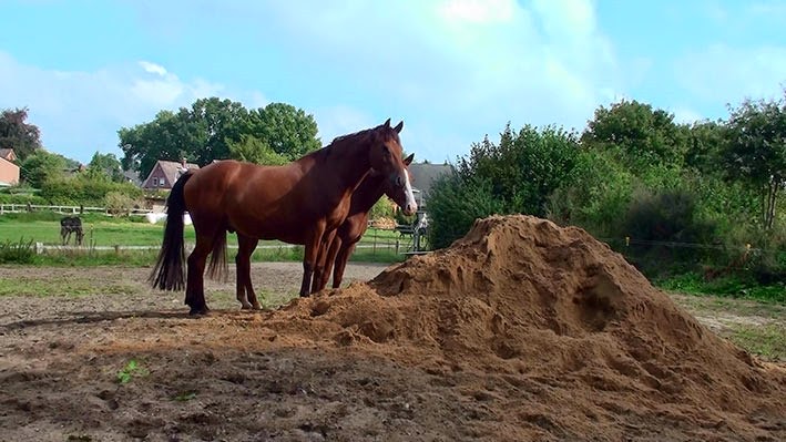 [20140911105813-%25289%2529%255B2%255D.jpg]