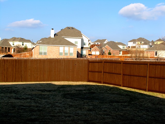 How to stain an old worn out fence for dirt cheap using 'Oops' paint from Home Depot - After