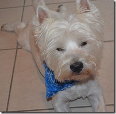 2012.03.25 Haircu (4)
