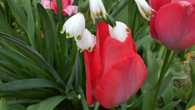 2014-04-10 07.08.44.jpg