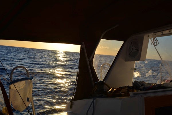 DSC_3695.JPG DSC 3695