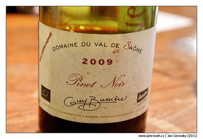 Bussiere_pinot_2009
