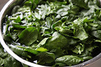 Baby spinach from the cold house!
