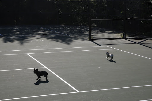 We heard Martha calling us and we took a short cut across the tennis courts.