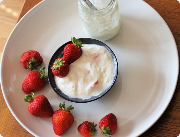 how_to_make_your_own_yogurt