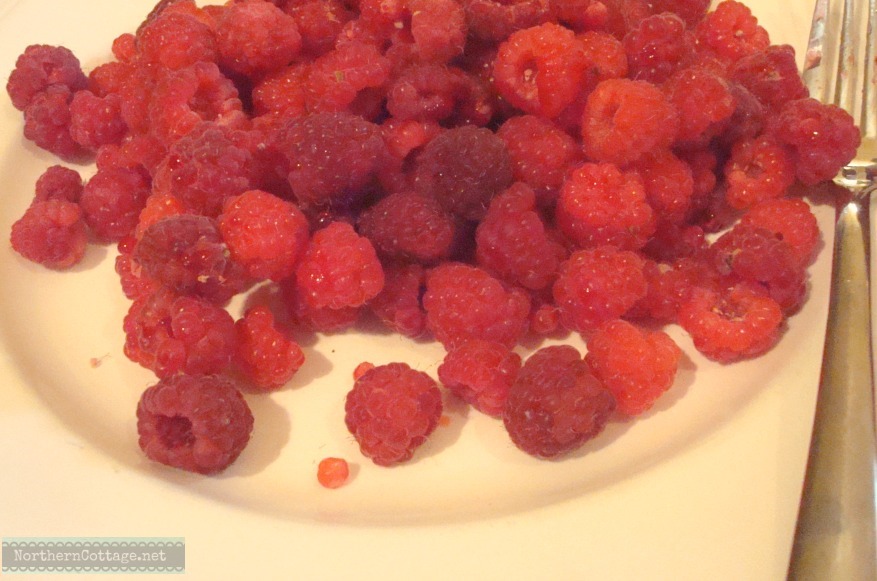 [Northern-Cottage-raspberries-for-jam%255B2%255D.jpg]