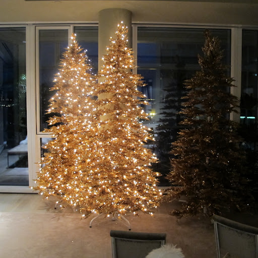Two trees are light!