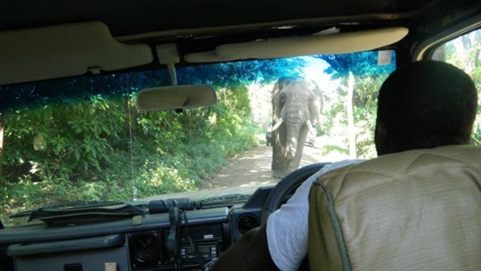 [viral-picdump-pics-43%255B2%255D.jpg]