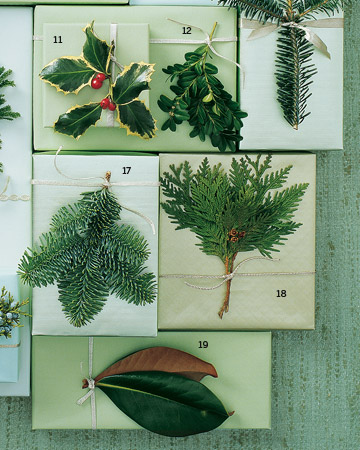 11. English Holly, 12. Boxwood, 17. Noble Fir, 18. White Cedar, 19. Magnolia. 11. English Holly, 12. Boxwood, 17. Noble Fir, 18. White Cedar, 19. Magnolia.