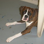 DSCN2519.jpg