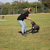 IMG_3158.JPG
