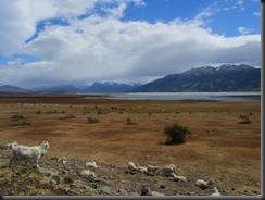 2012_01_01 Glaciar Perito Moreno - Argentina 196