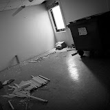 Gullfiber (9).JPG