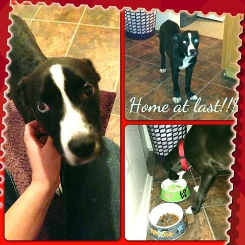 [1001646_606824059341346_1046634586_n%255B3%255D.jpg]