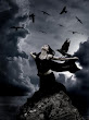 Ravens