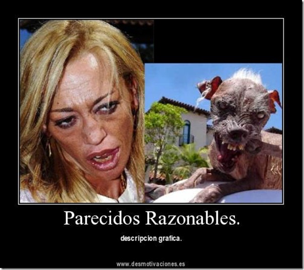belen esteban arecidos razonables (7) belen esteban arecidos razonables (7)