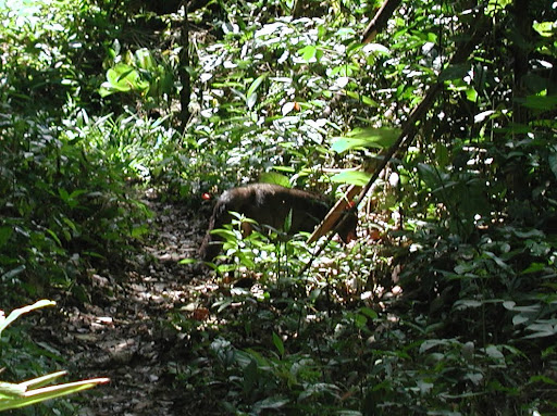 Image036_3