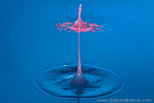 liquid-drop-art-gotas-caindo-foto-velocidade-hora-certa-desbaratinando (97)