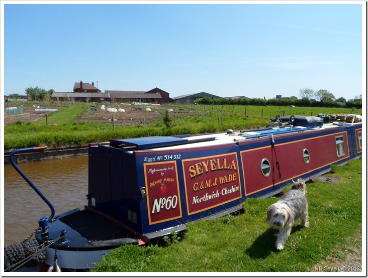 SAM_0444 Moored Near Paddy's Wood SAM_0444 Moored Near Paddy's Wood