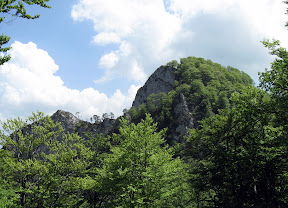 IMG_2116_resize.jpg