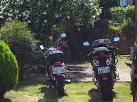 R0011826.JPG