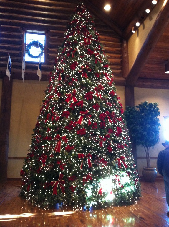 [12-17-11_00623.jpg]