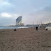 IMG_20111107_170617.jpg