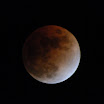 DSC_1692.JPG