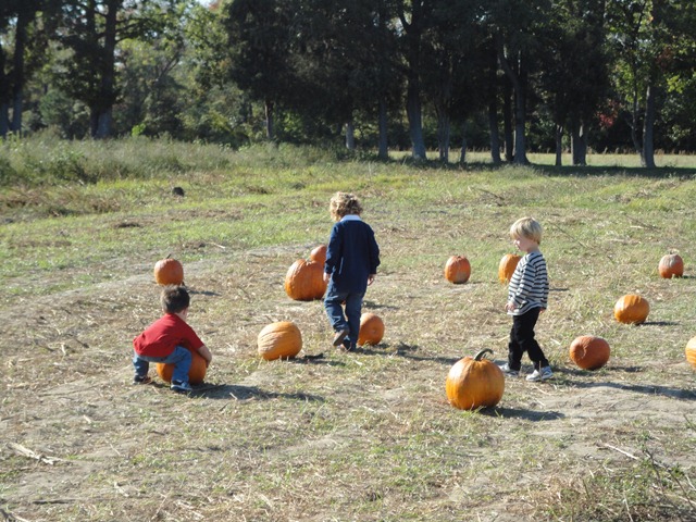 [DSC02110%255B3%255D.jpg]
