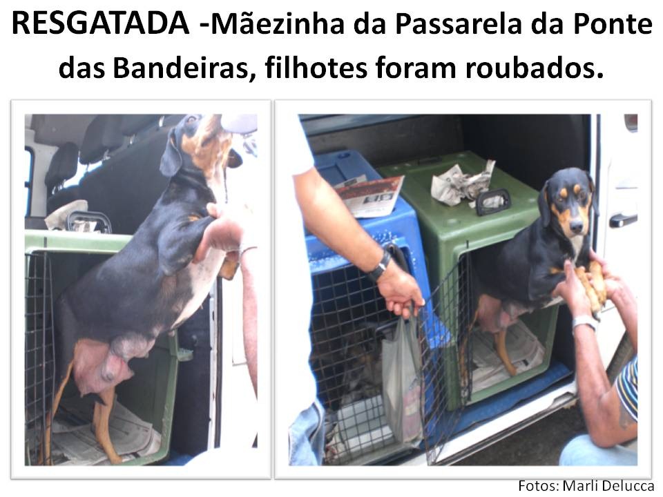 [Slide4%255B2%255D.jpg]