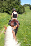 Wanderreiten Mühlviertel 2009