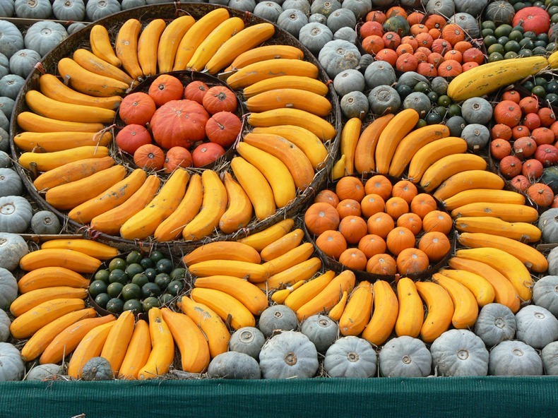 slindon-pumpkin-festival-5 slindon-pumpkin-festival-5