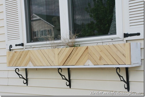flower boxes 011