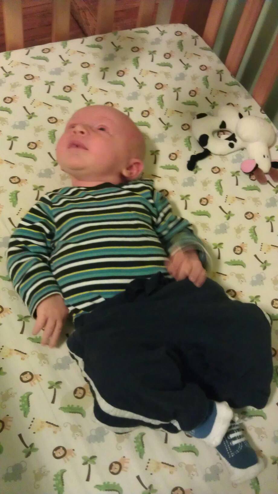 4 weeks old