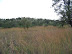 South Africa Day 1 - On Safari