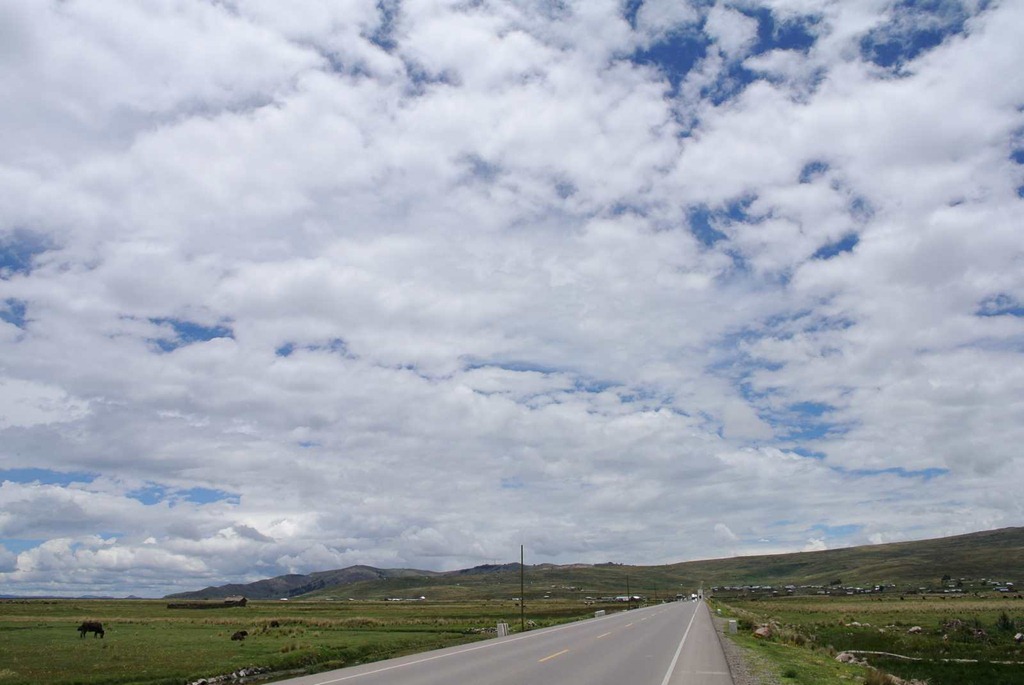 [DSC_68253.jpg]