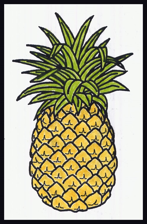 [pineapple0416.jpg]