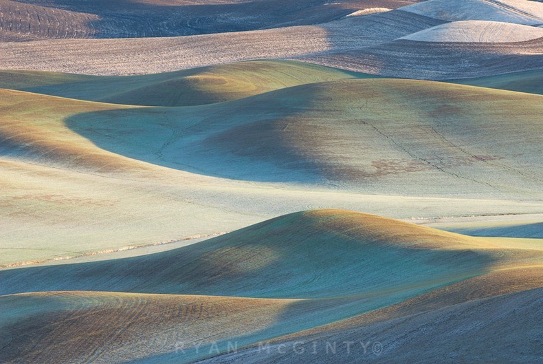 Palouse Colors Palouse Colors