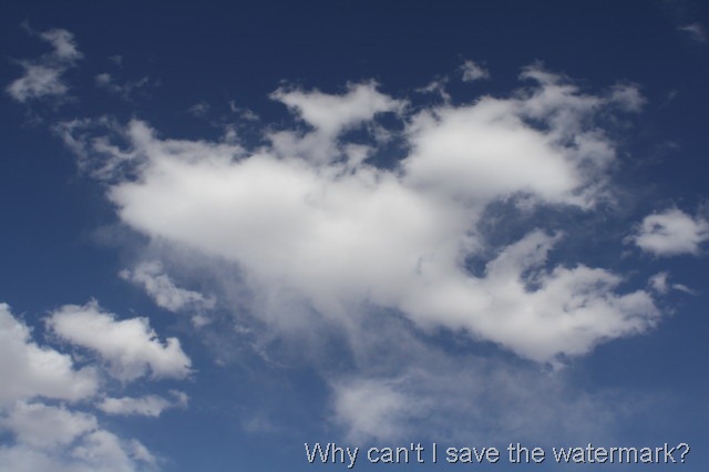 [IMG_0052_1%255B12%255D.jpg]