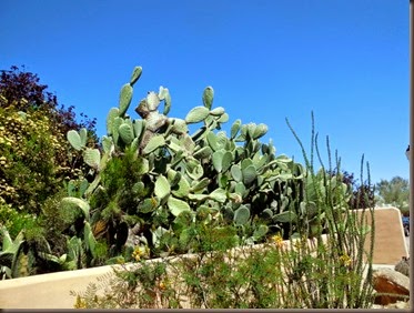 Wickenburg (1) Wickenburg (1)