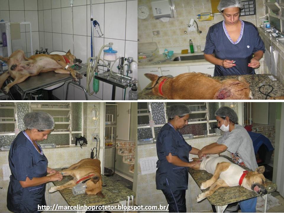 [marcelo_protetor-22.jpg]