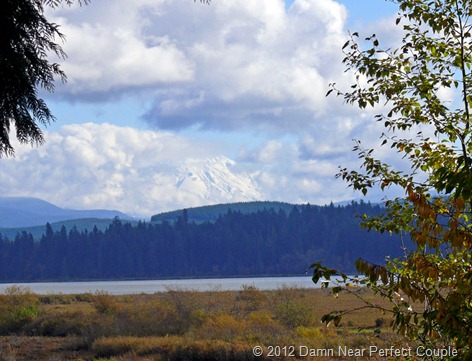 Mt St Helens from Distance