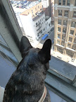 And now Martha Stewart Living Omnimedia operates all the way up here on the 9th and 10th floors!