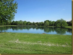 IMG_5981 IMG_5981