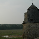 DSC_8754.JPG
